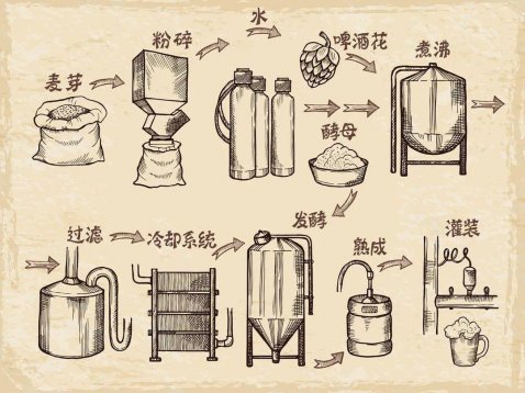 关于啤酒的知识，看这一文就够了