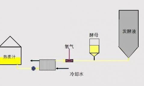 啤酒发酵工序操作规程