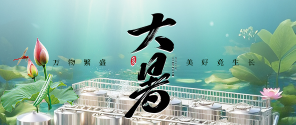 暑气盛时，精酿正酣