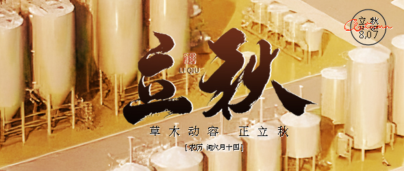 清风送立秋，专业筑基石​