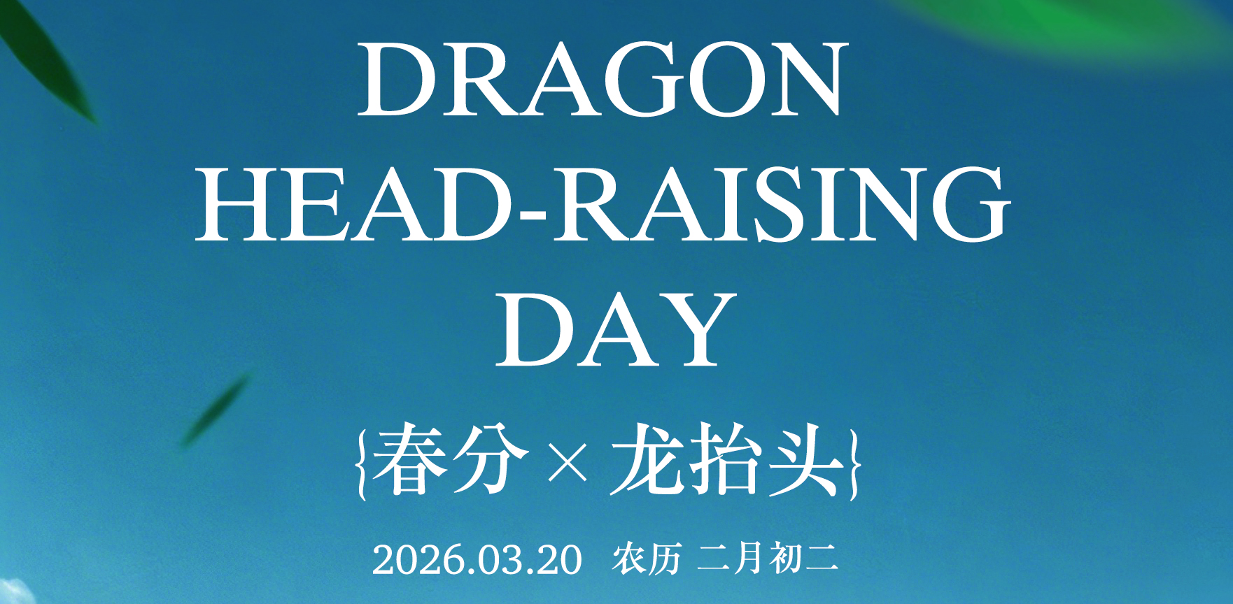 龙抬头启鸿运 春分至万物生